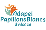 10 D 022 Logo APBA Quadri Patch